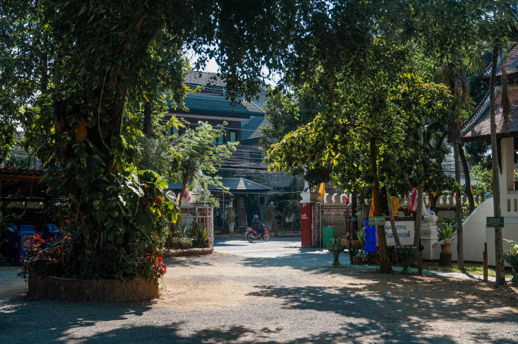 An image of a gardens, street, and interior in a cultural site.