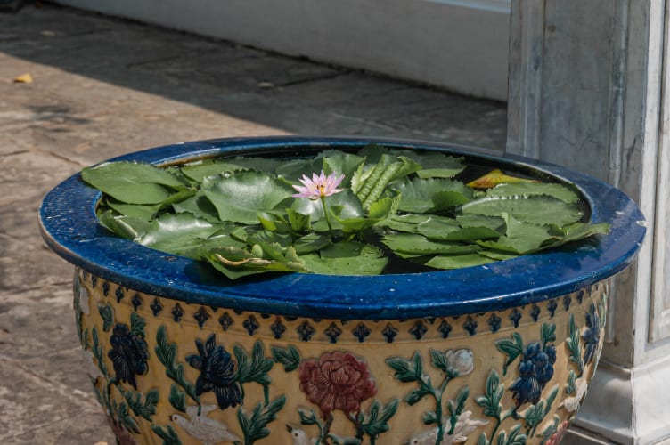 An image of a drink engaged in craft in a cultural site.