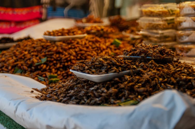 An image of a food, macro, culture, and drink engaged in craft.