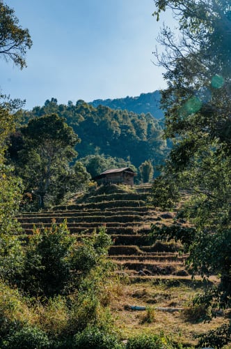 An image of a landscape, gardens, and travel in a cultural site.