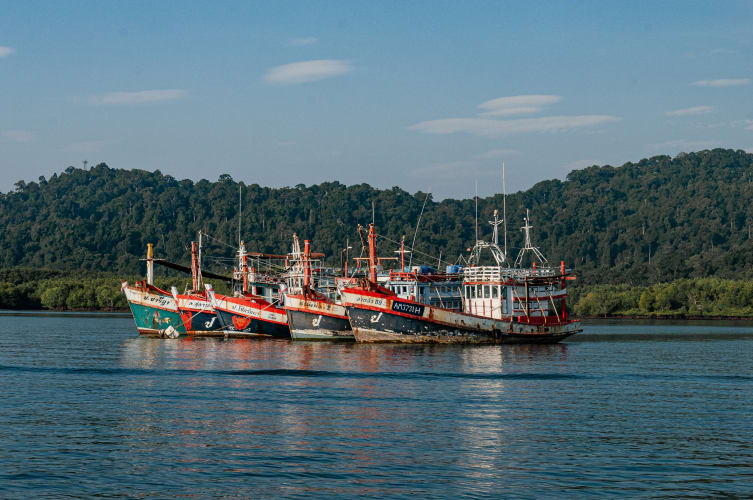 An image of a travel and landscape in a summer with a calm atmosphere.