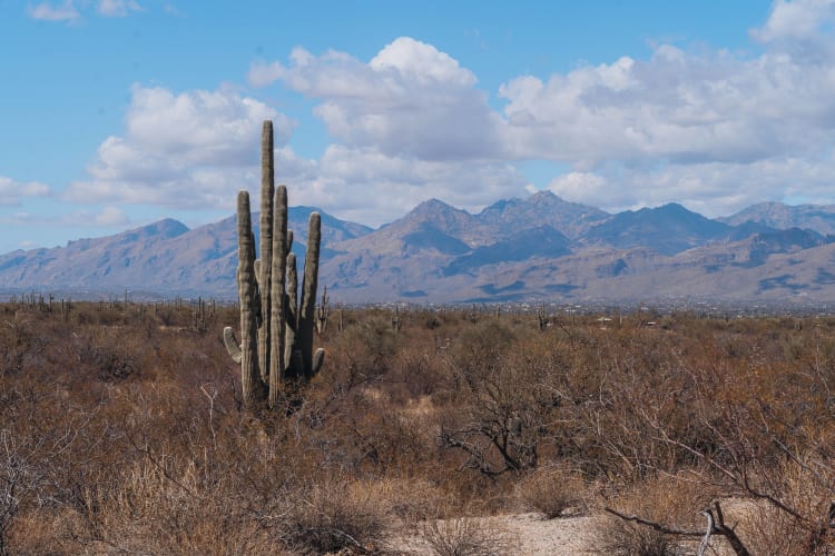 An image of a landscape, travel, and nature in a landmark.