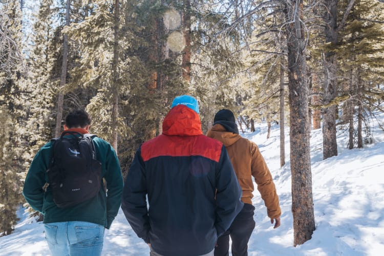 An image of a travel and family engaged in walking in a winter.