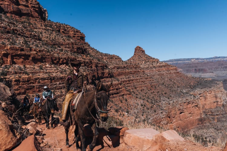 An image of a travel, landscape, and wildlife in a mountain.