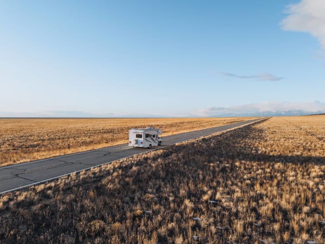 An image of a travel, landscape, and wildlife engaged in running.