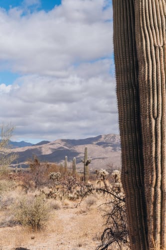 An image of a landscape, nature, travel, and urban in an outdoor setting.