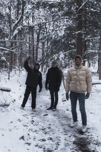 An image of a wildlife engaged in walking in a winter.