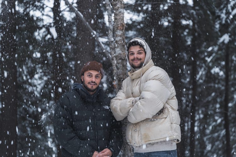 An image of a wildlife in a winter.