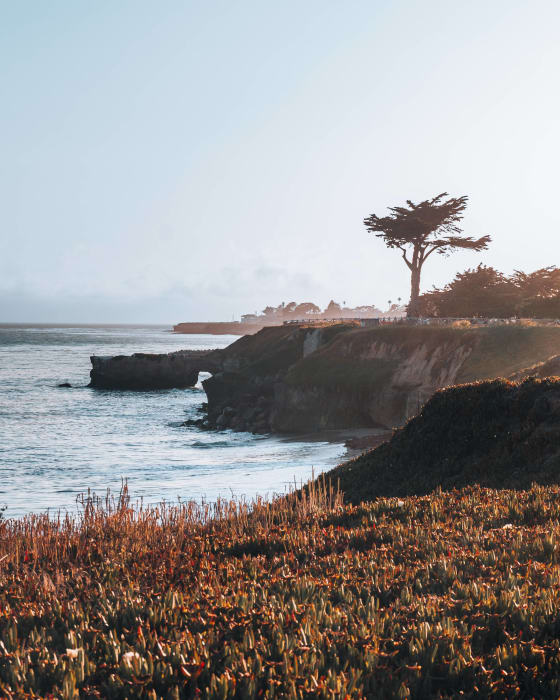 California