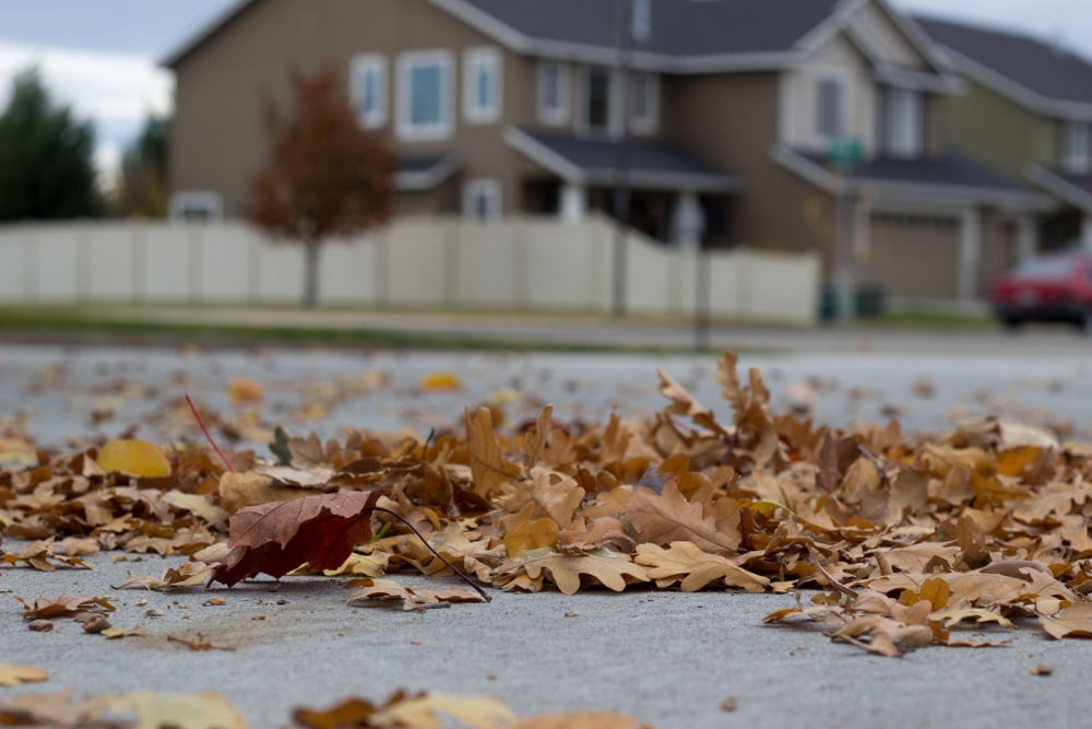 Gentle Fall