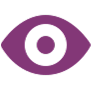vision