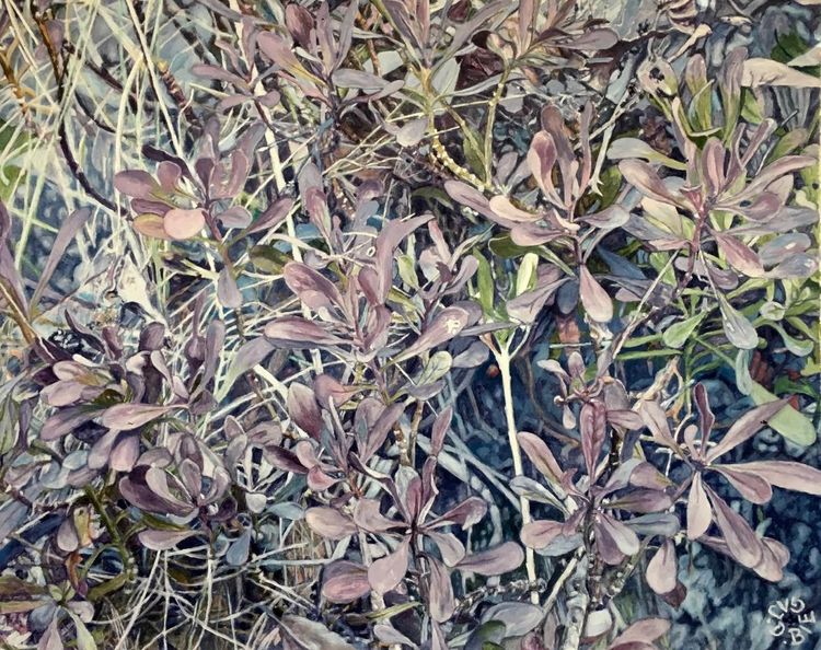 Nature Series XII.jpg