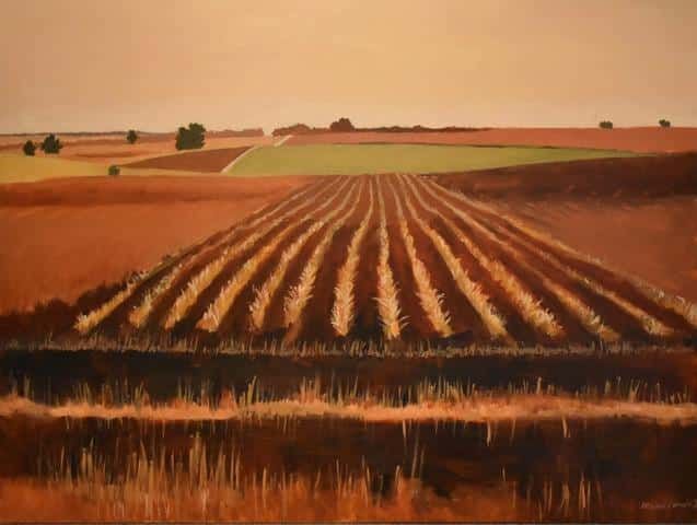 Farm.jpg