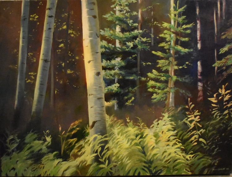Birch Tree's.jpg