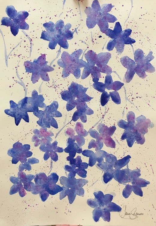 Forget-Me-Nots.jpg