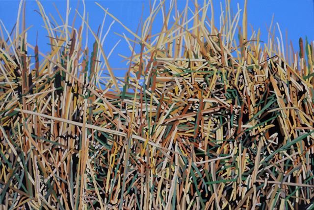 Late October Grasses.jpg