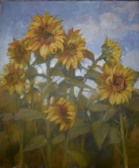 Sunflowers