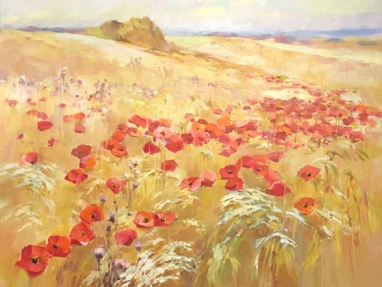 Wild Poppies in the Field
