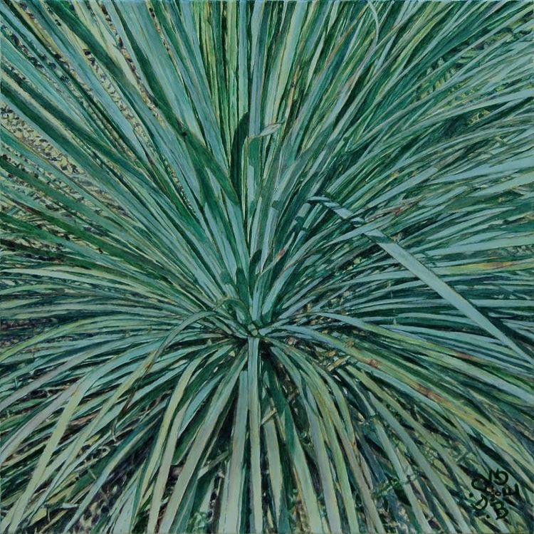 Nature series X.jpeg