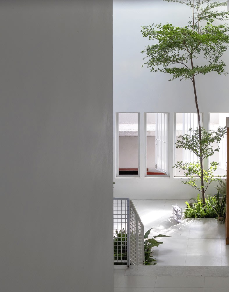Độc lạ với nhà phố có mặt tiền gần như trong suốt - Ảnh 2. Độc lạ với nhà phố có mặt tiền gần như trong suốt - Ảnh 2.