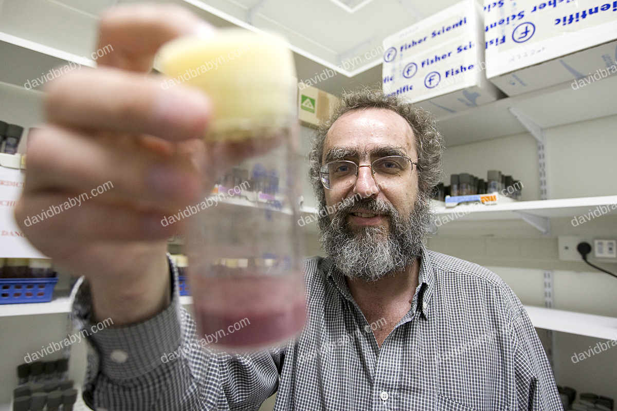 Cancer researcher Dr. Thierry Heidmann in his lab in Villejuif, France, 6 May 2008