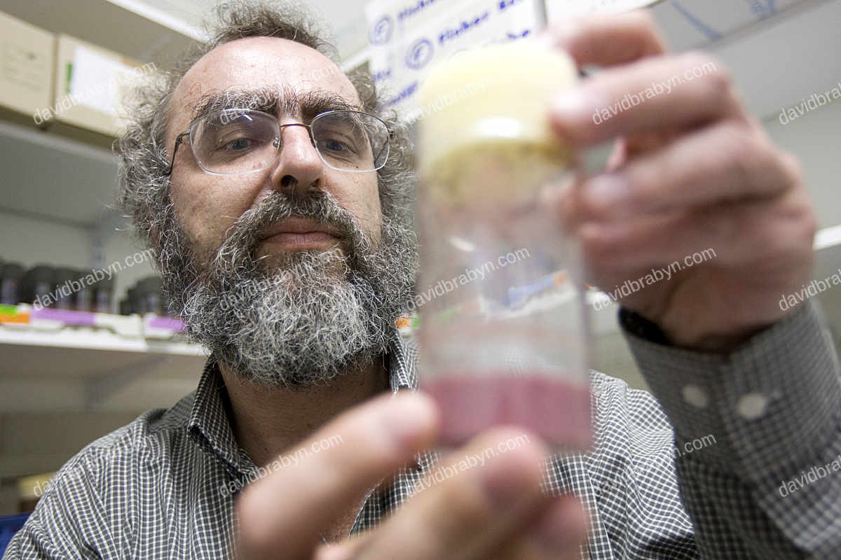 Cancer researcher Dr. Thierry Heidmann in his lab in Villejuif, France, 6 May 2008