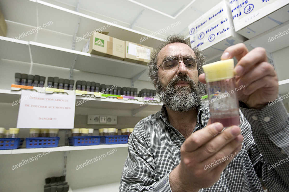 Cancer researcher Dr. Thierry Heidmann in his lab in Villejuif, France, 6 May 2008