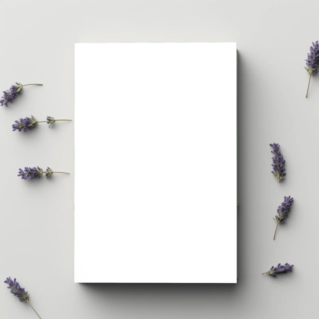 Book 3 mockup preview