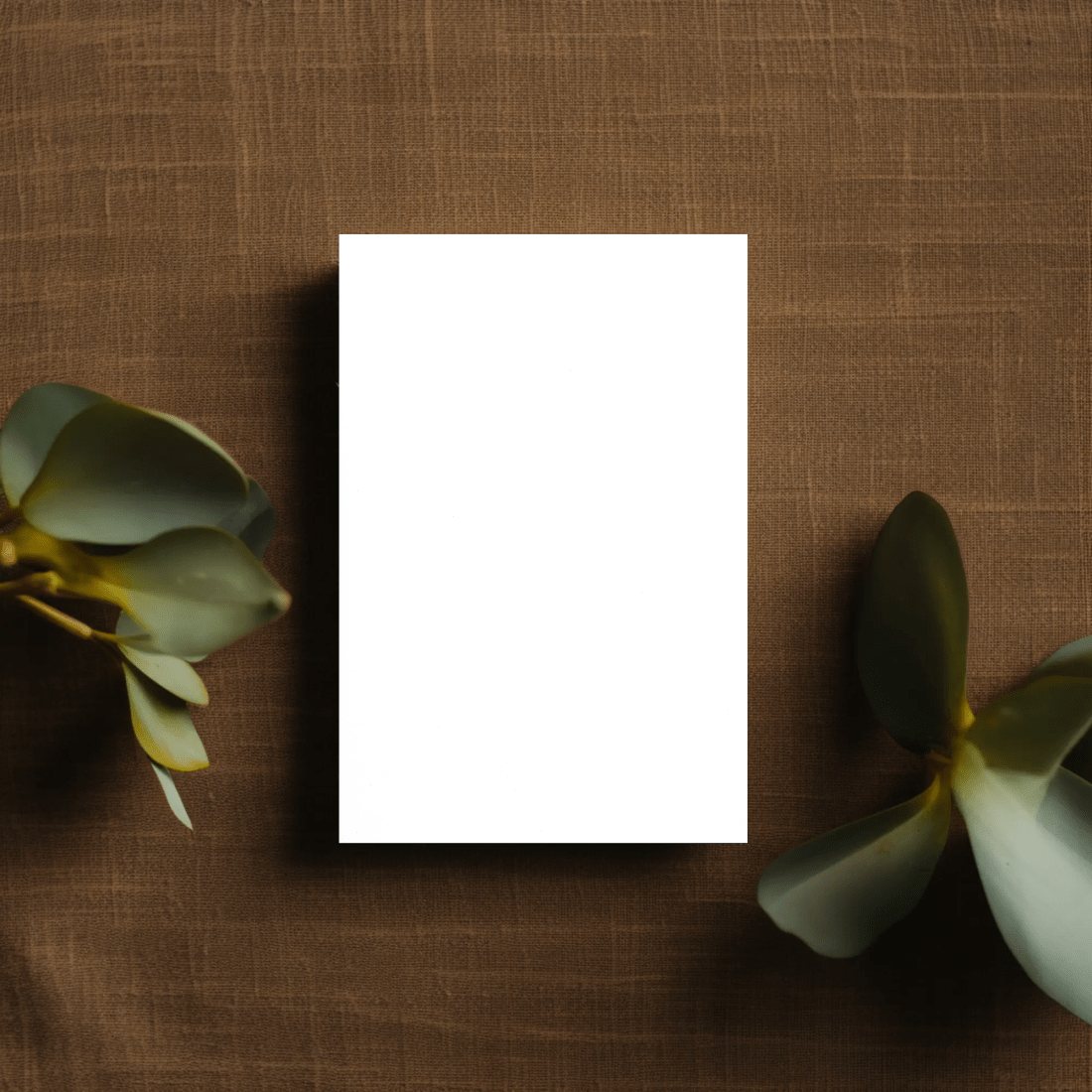 Business Card 2 mockup preview