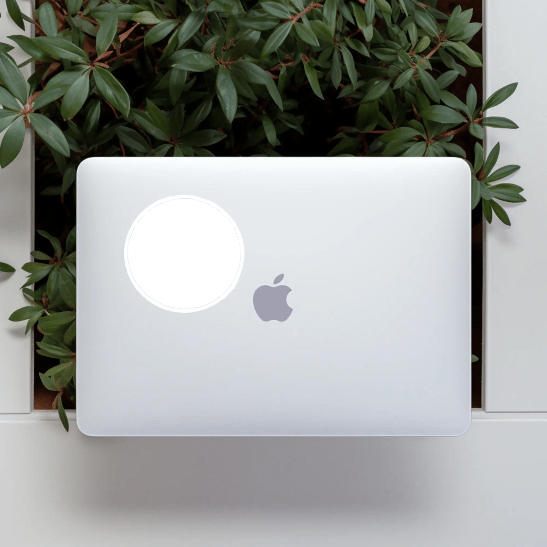 Sticker 2 mockup preview