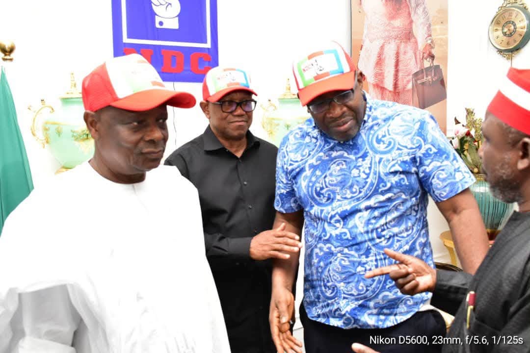 NDC Summons Emergency NWC, As INEC Denies Claims of Unauthorised Candidates Substitution