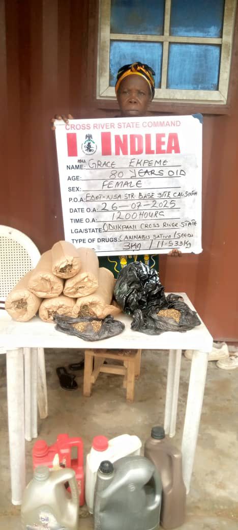 ndlea