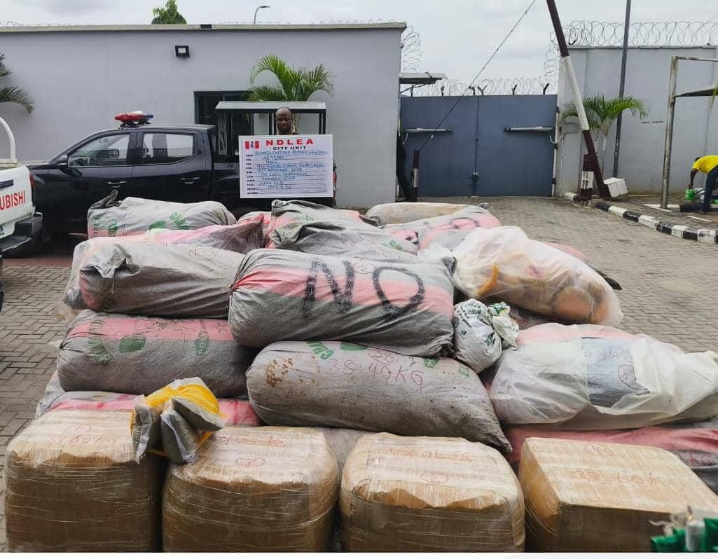 Wanted Drug Baron Arrested in Ikota, Lagos, As NDLEA Recovers Large Quantities of Enhanced Cannabis Variants