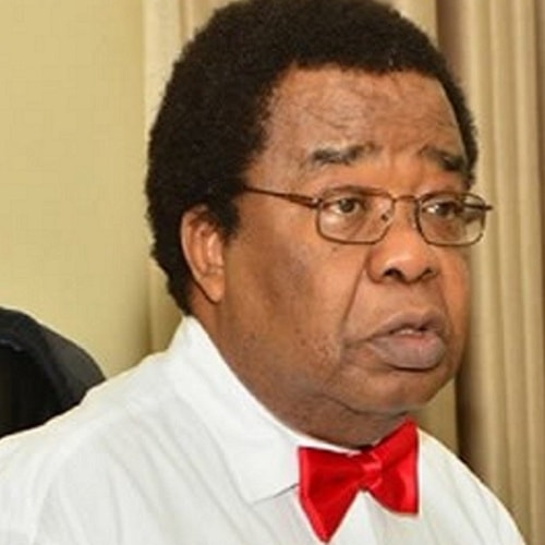 There is Genocide in Nigeria - Prof Bolaji Akinyemi