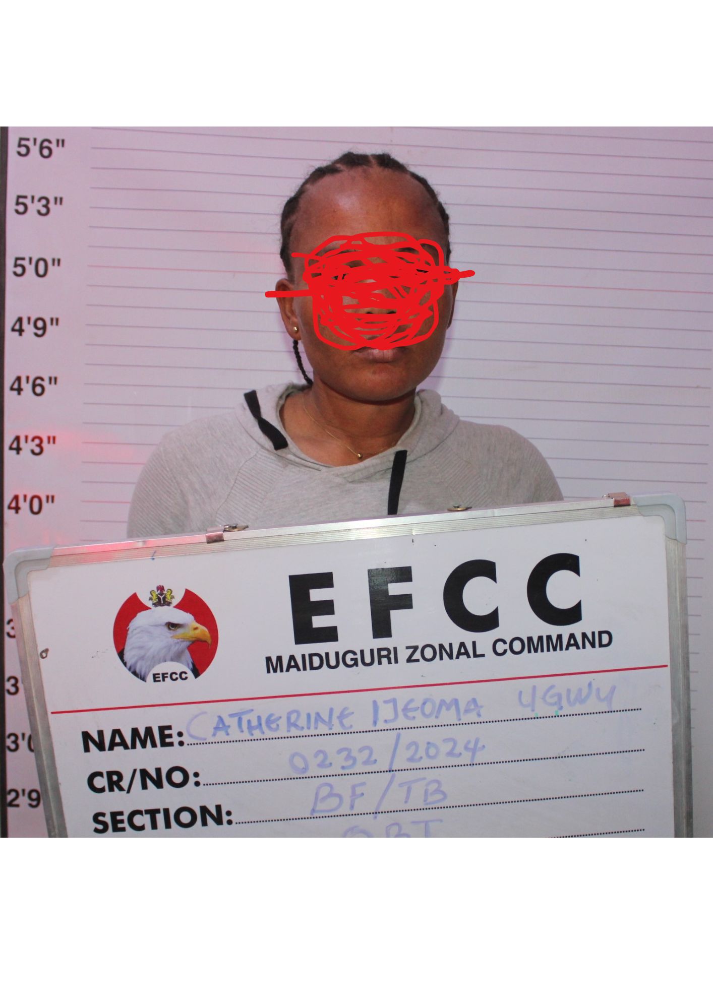 WOMAN IN COURT FOR CRIMINAL IMPERSONATION OVER N6.8M ROMANCE SCAM IN MAIDUGURI