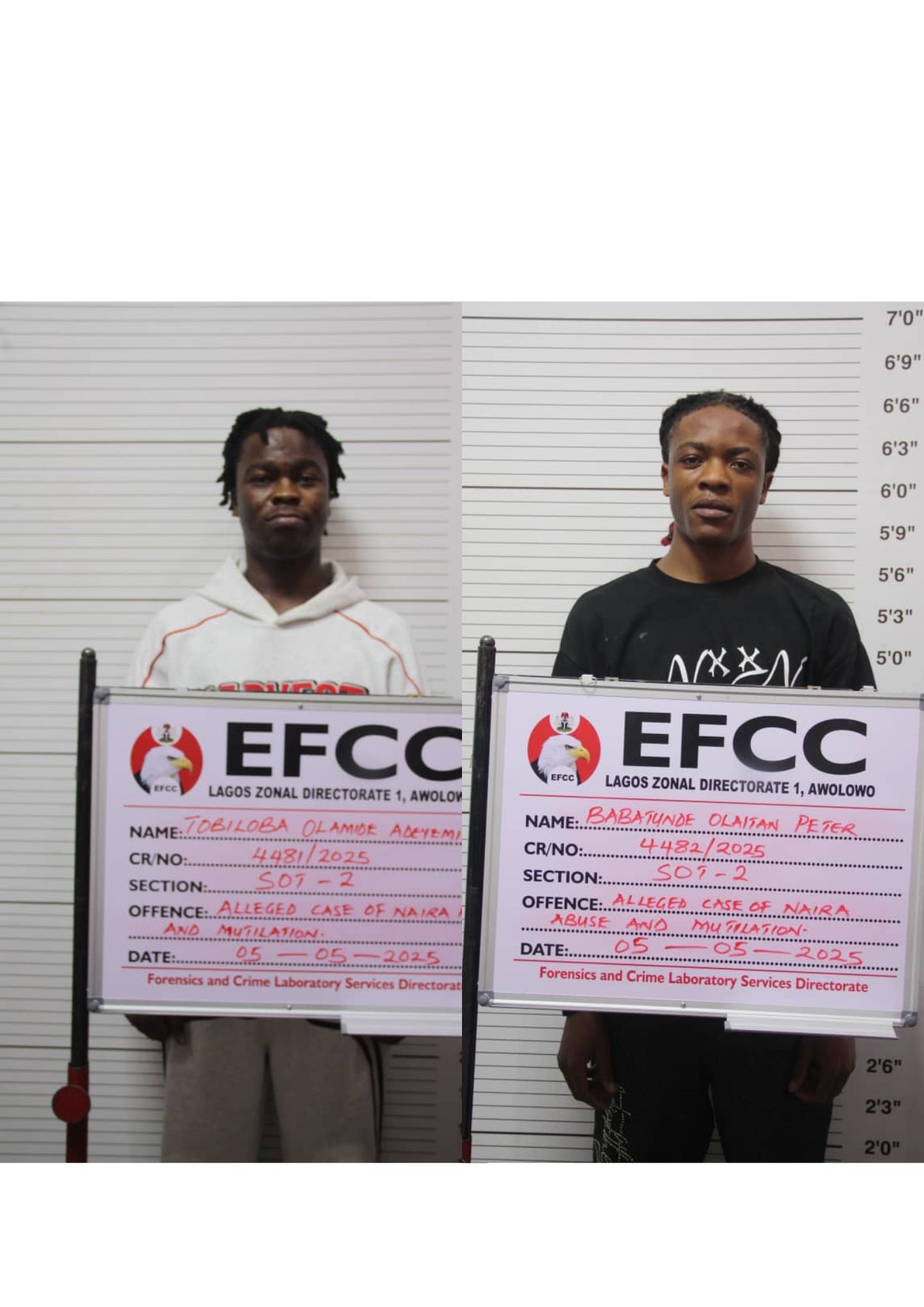 TWO JAILED SIX MONTHS FOR NAIRA ABUSE IN LAGOS