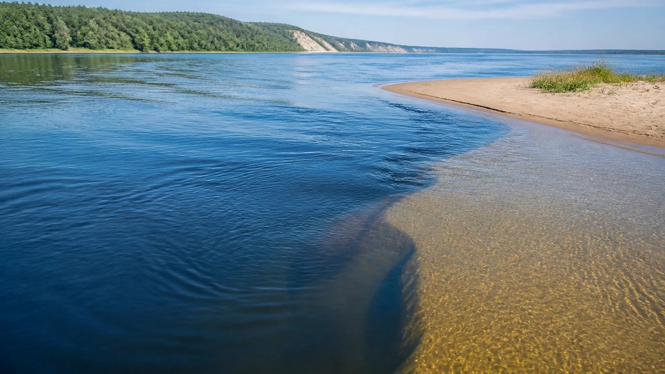 Песчаная коса с пологим входом в прозрачную воду реки Волги на фоне лесистого берега