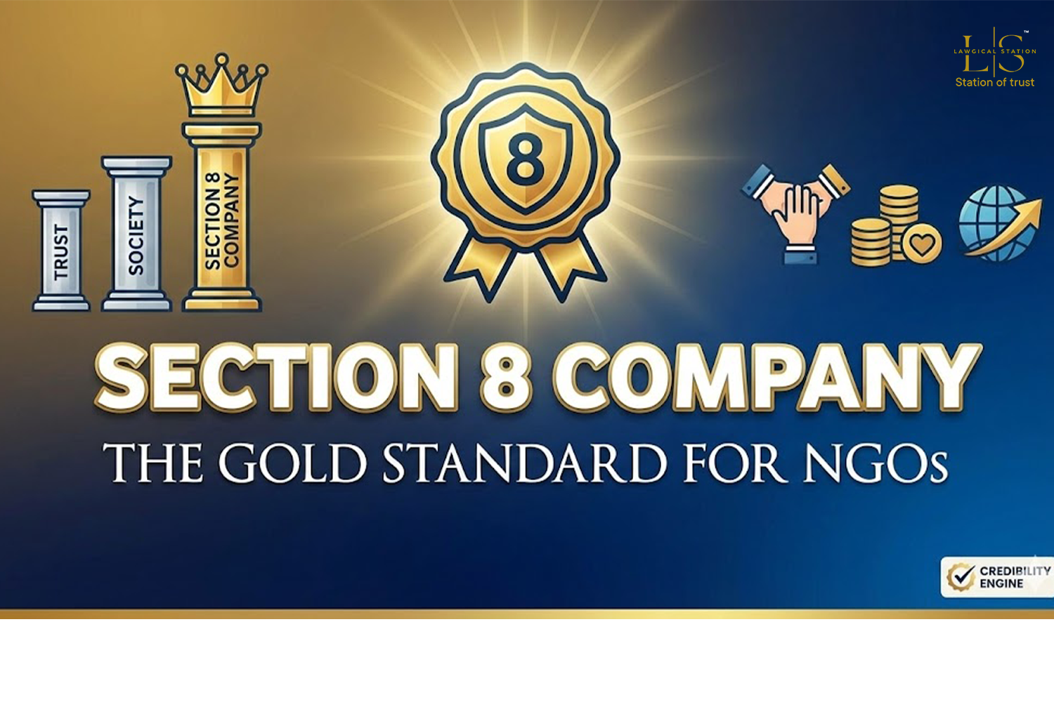 Section 8 Company: The NGO Structure Investors Trust Most