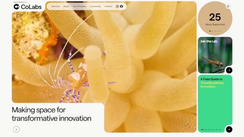 Screenshot of Colabs