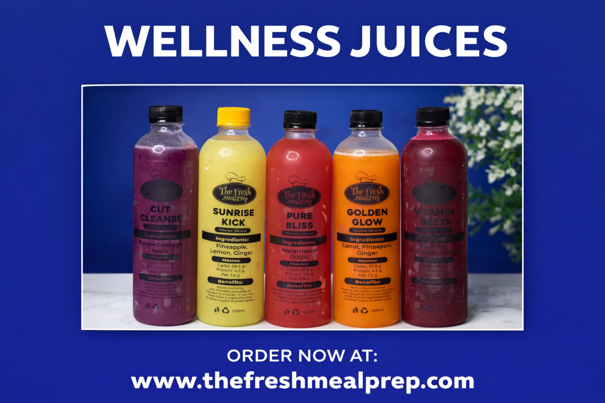 WELLNESS JUICE PLAN