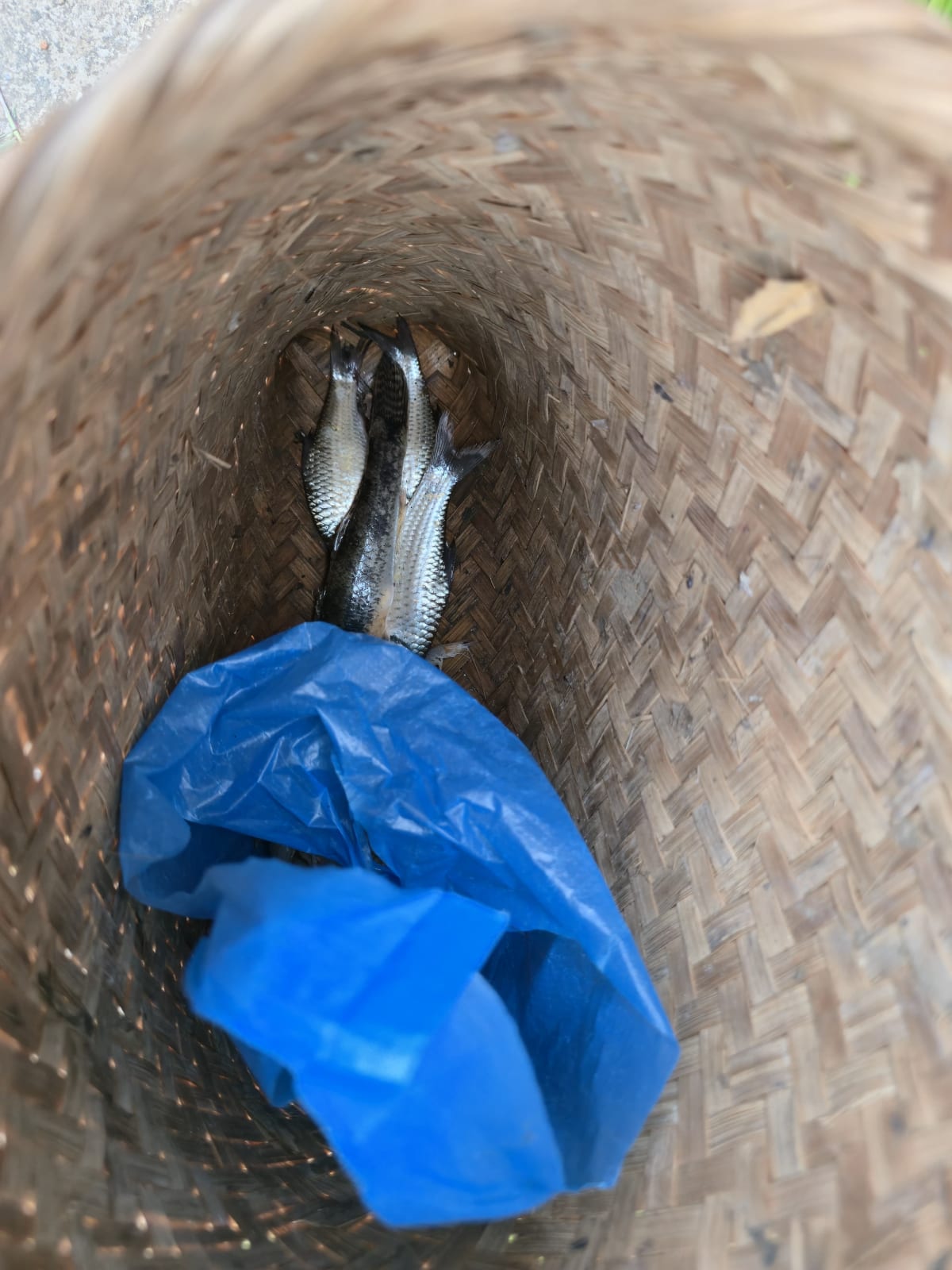 Fishing Competition 2.O — Photo 45