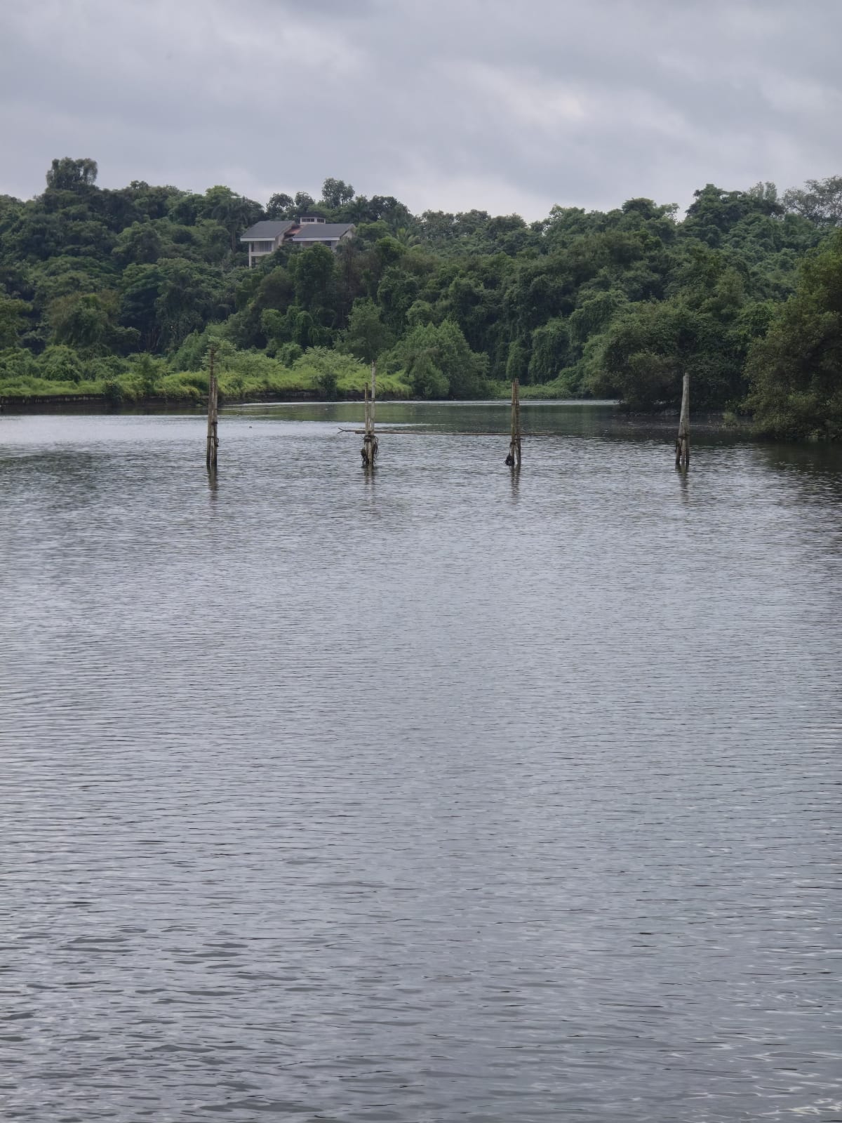Fishing Competition 2.O — Photo 39