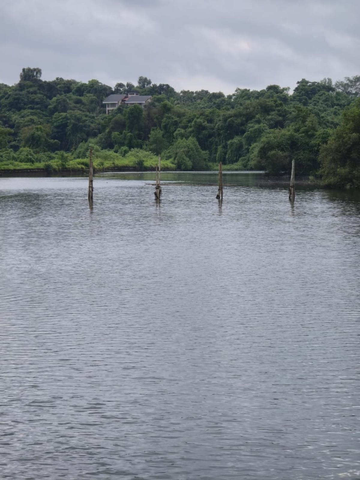 Fishing Competition 2.O — Photo 34