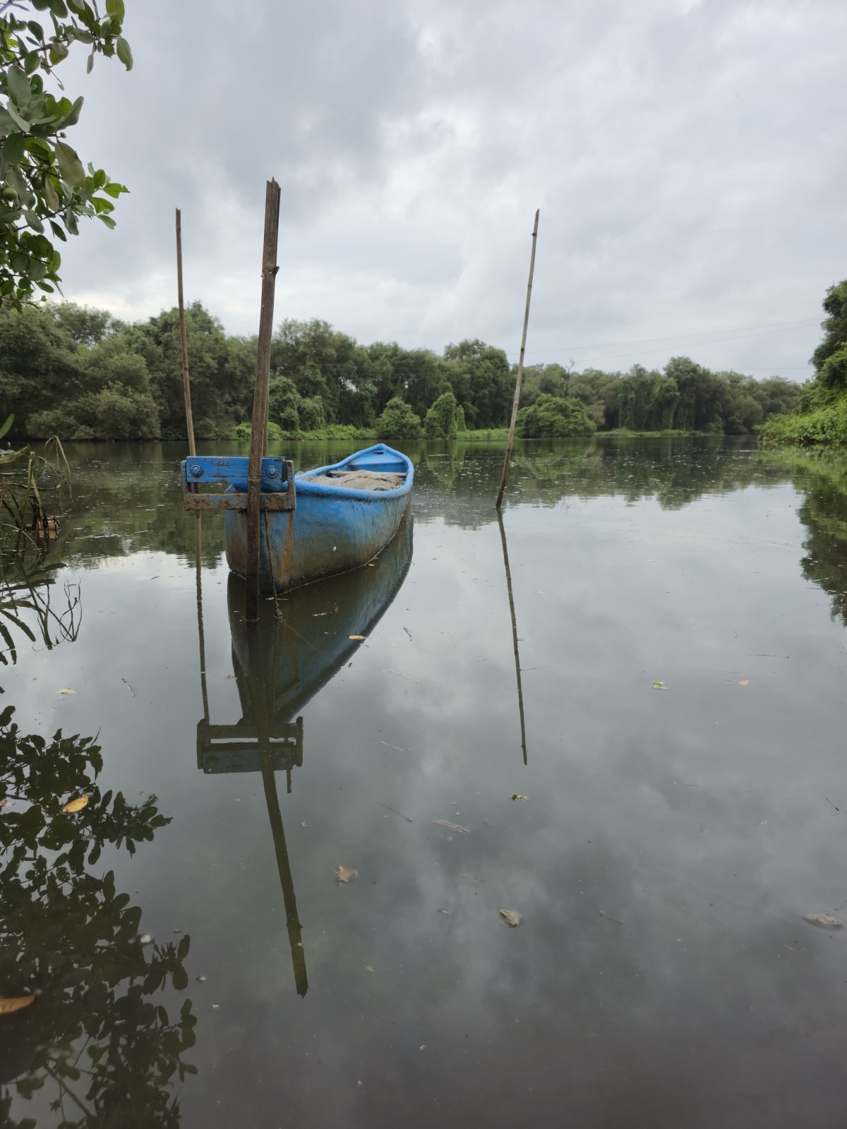 Fishing Competition 2.O — Photo 32