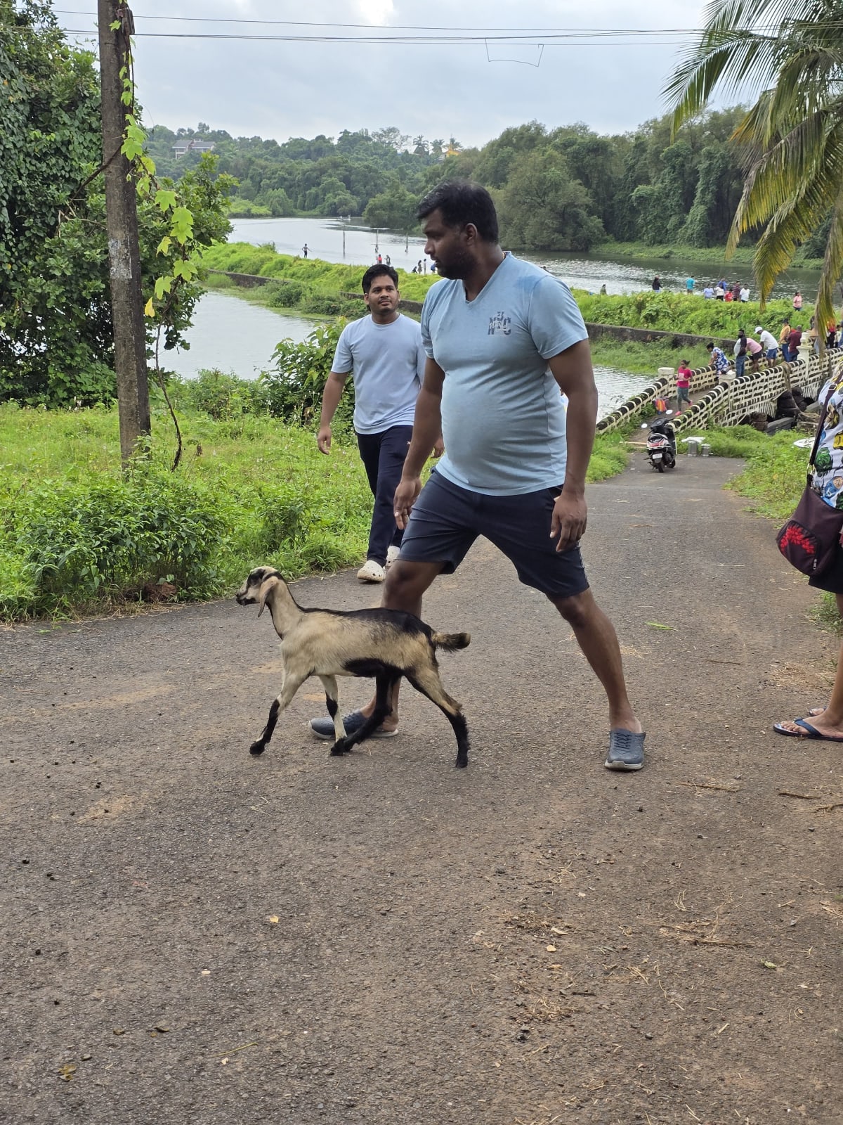 Fishing Competition 2.O — Photo 10