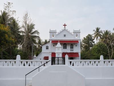 Photo — Photo 3
