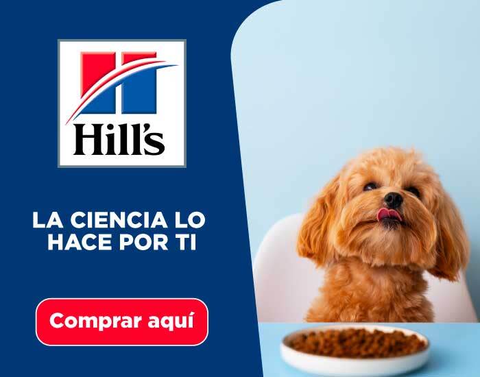 Alimento Hills 2025