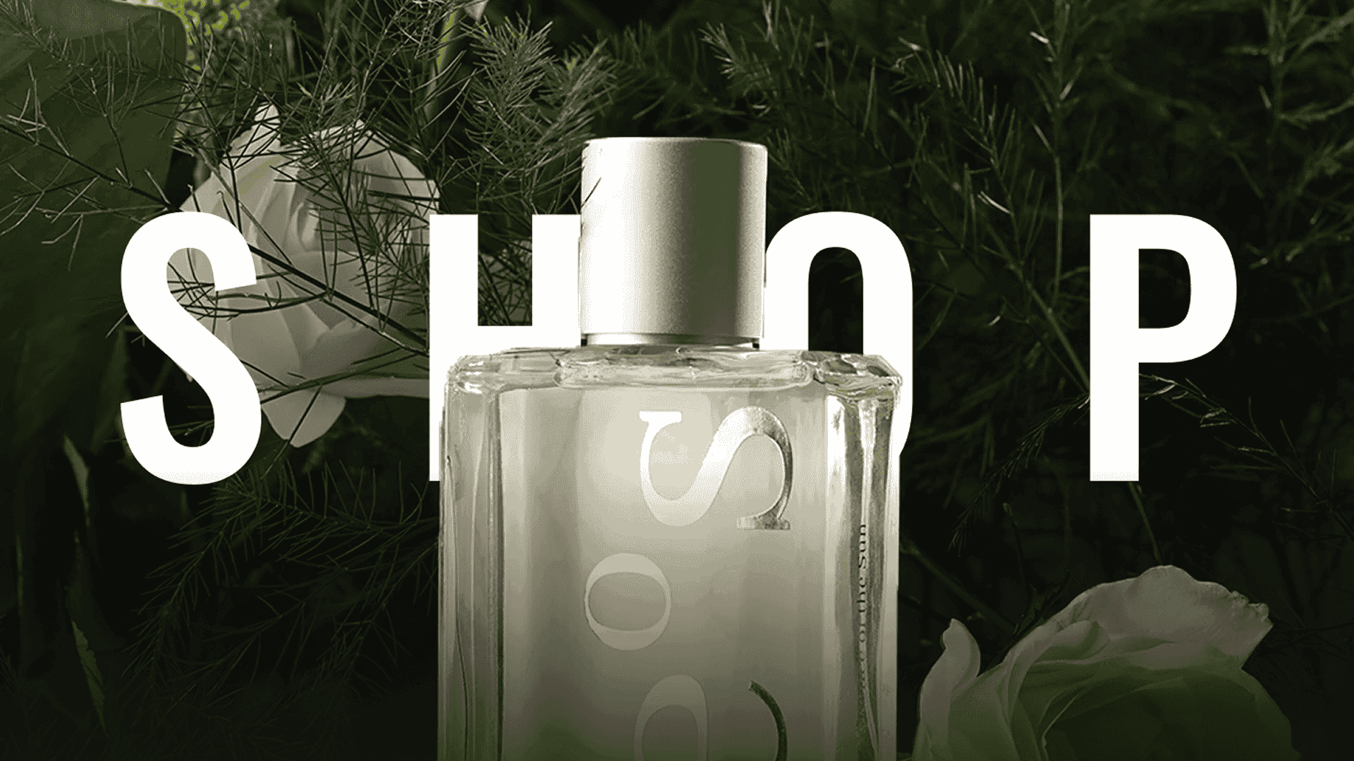 Perfume Catalog Banner