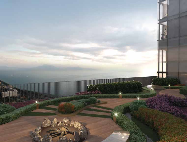 Sunlight garden and greenery