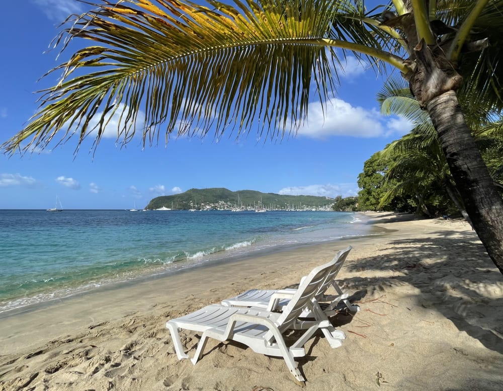 Two sun loungers under a palm tree on the sand at Lower Bay, with Admiralty Bay's hills across the water